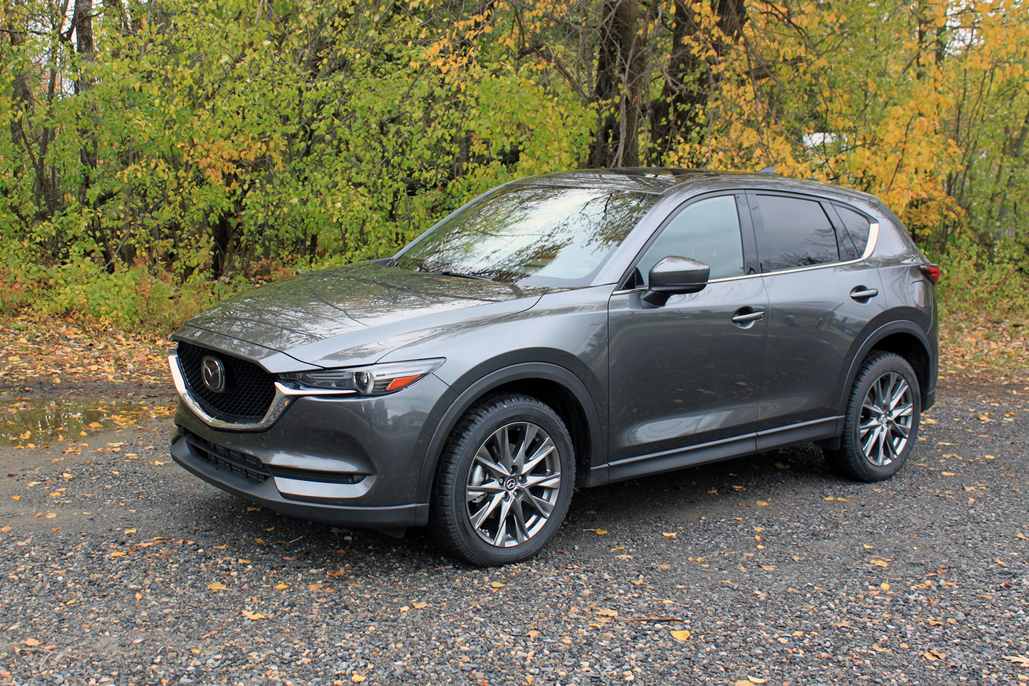 Road Test: 2019 Mazda Cx-5d Signature - Vicarious Magazine