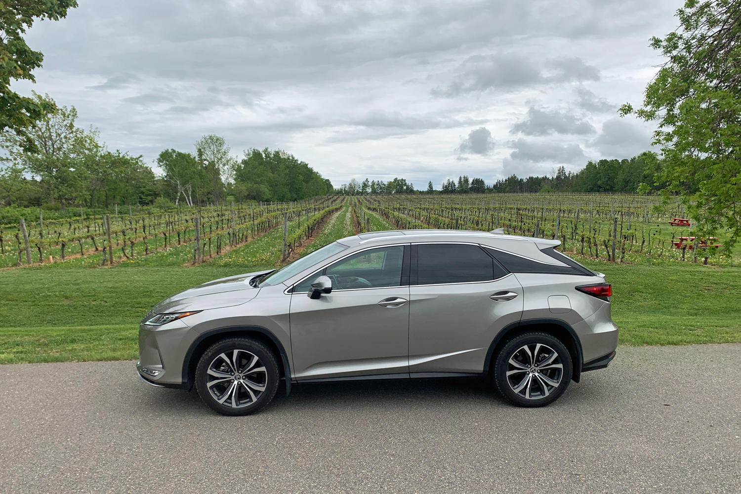 Road Test: 2020 Lexus RX 350 - Vicarious Magazine