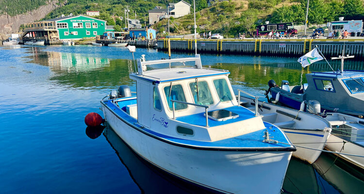 Newfoundland Coast